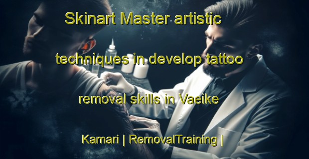 Skinart Master artistic techniques in develop tattoo removal skills in Vaeike Kamari | RemovalTraining | RemovalClasses | SkinartTraining-Estonia